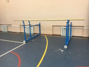 Брусья гимнастические пристенные 