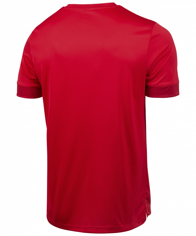Футболка игровая DIVISION PerFormDRY Union Jersey, красный/ темно-красный/белый 