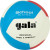 Мяч волейбольный "GALA School 12" арт. BV5715S, р. 5, син.кожа ПУ, под.сл. пена, клеен,бут.кам,бел-крас--гол 